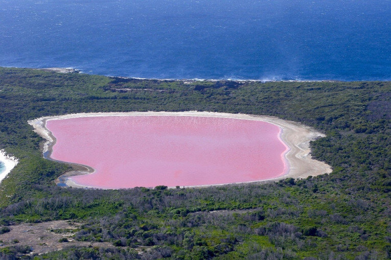 Фото: wikipedia.org