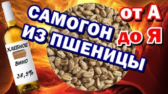 САМОГОН ИЗ ПШЕНИЦЫ от А до Я - СОЛОД + БРАГА Отбор голов - ВКУСНЫЙ САМОГОН