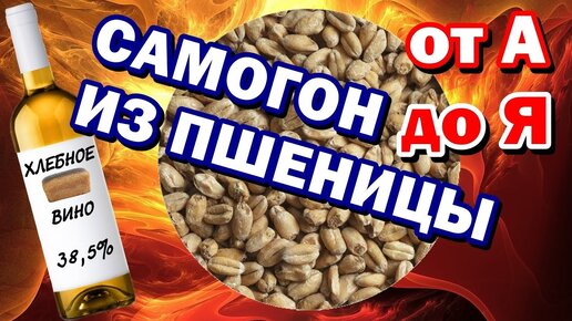 Download Video: САМОГОН ИЗ ПШЕНИЦЫ от А до Я - СОЛОД + БРАГА Отбор голов - ВКУСНЫЙ САМОГОН