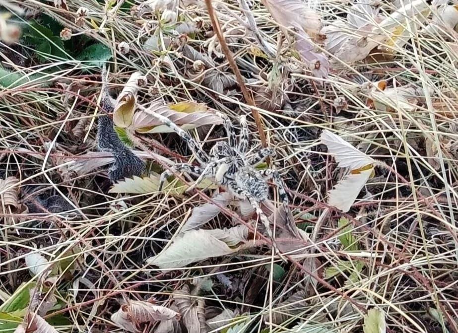    Фото: Национальный парк "Башкирия"