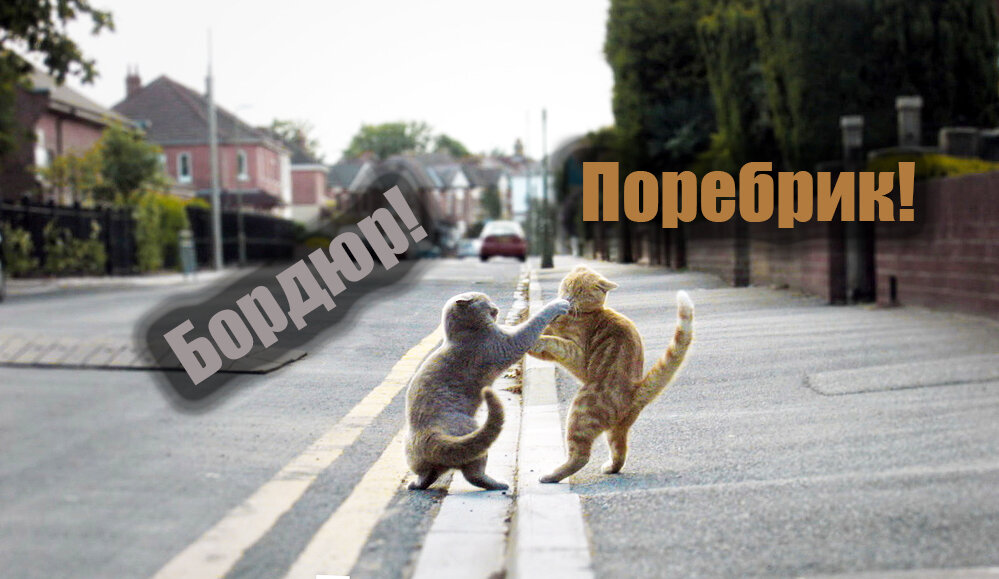 Кто прав? Отцензурированная мной картинка из интернета.