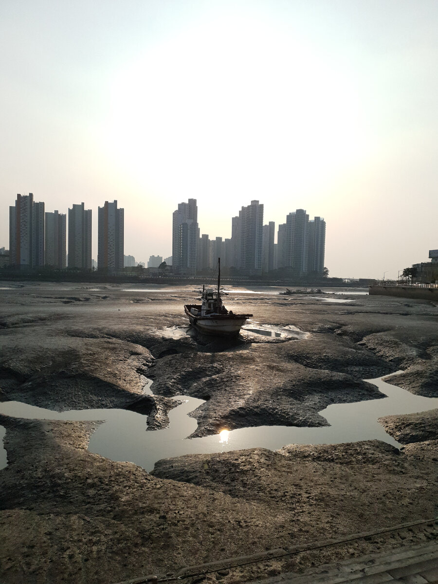 Одинокий корабль в заливе во время отлива в Корее