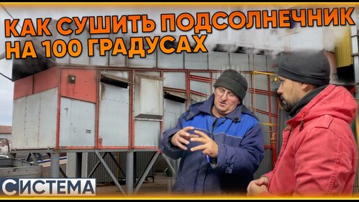 ОПАСНАЯ СУШКА ПОДСОЛНЕЧНИКА // Конвейерная зерносушилка АТМ Universal