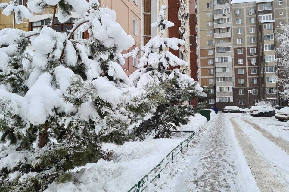     Снег ожидается в Нижнем Новгороде на этой неделе. Кристина БЕРБАСОВА