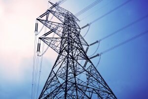    Фото: econet.ru Валерия Трофимова