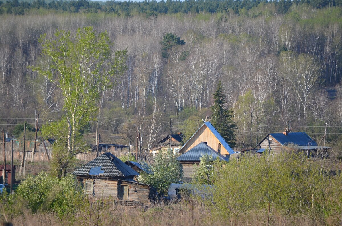 Хочу переехать в глушь в заброшенный дом | Цветочные Истории | Дзен