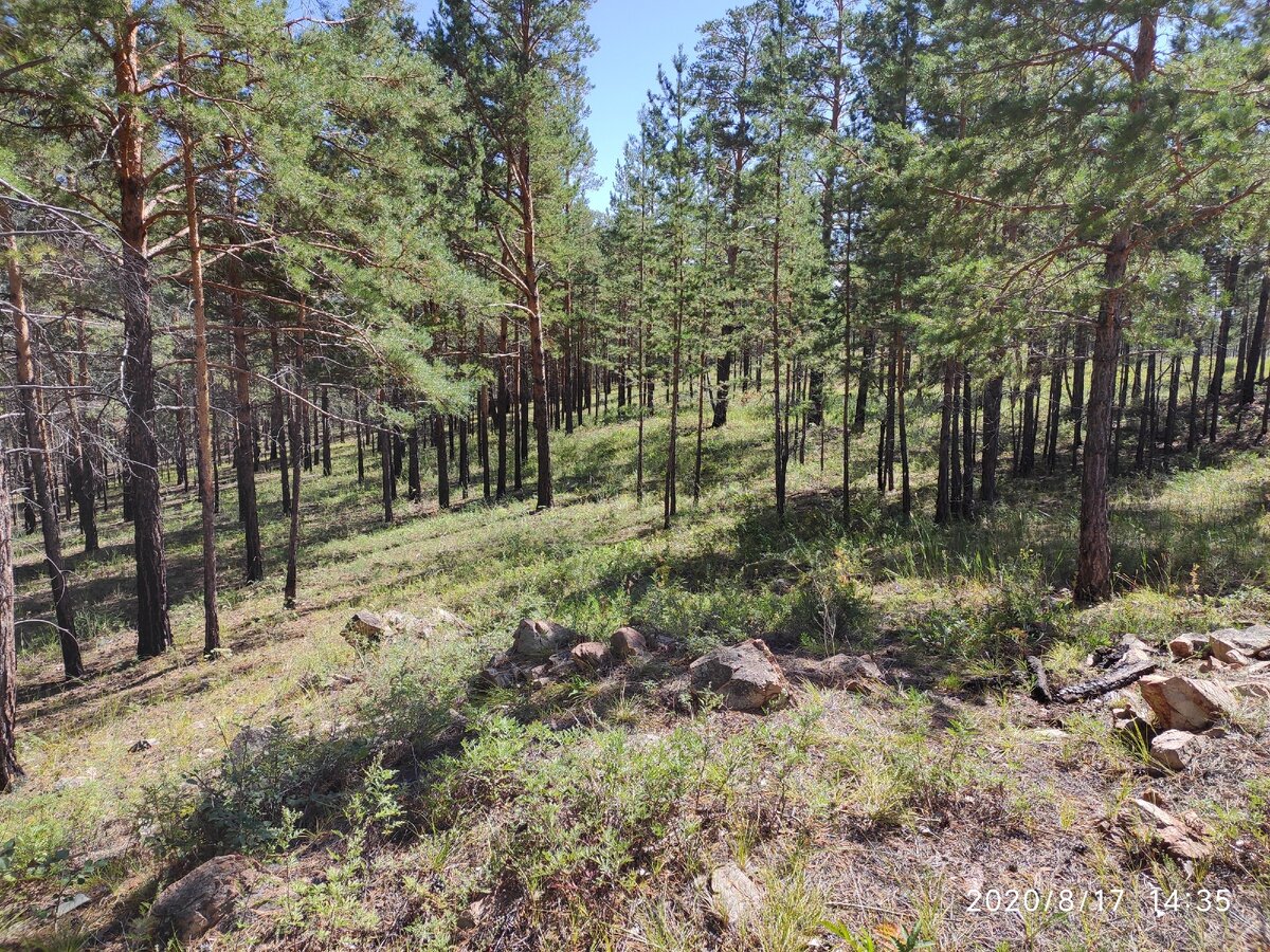 А воздух какой!