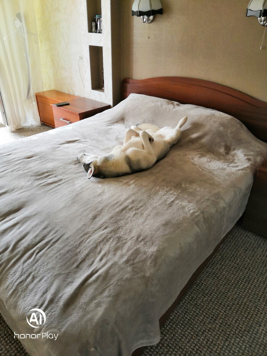 Как видите, наглости ей не занимать