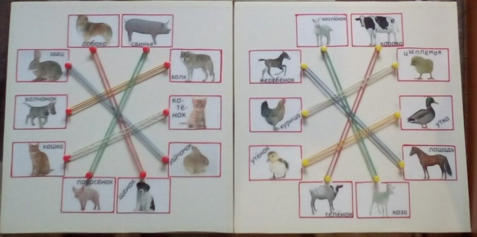 Фото автора. Мои работы. 