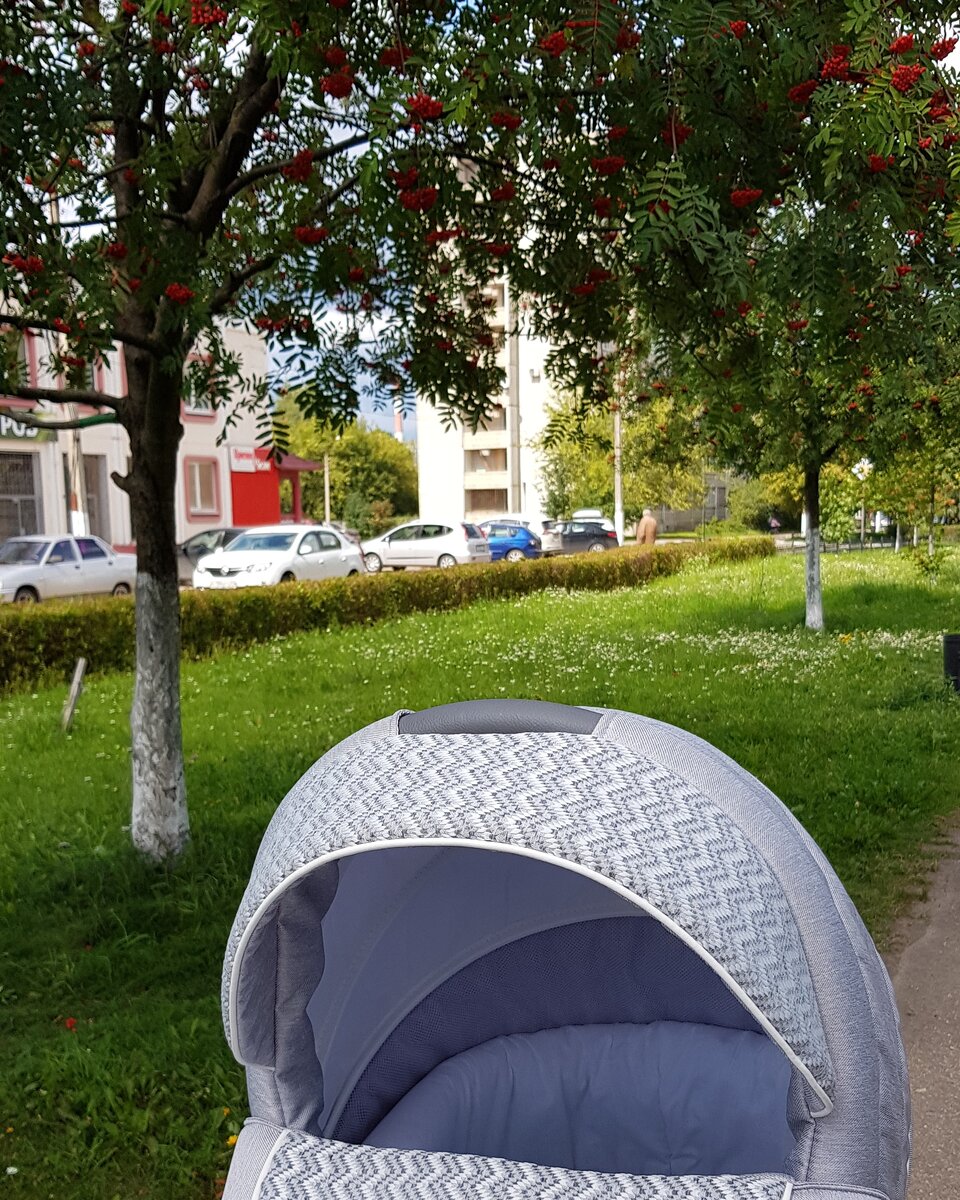 Фото из архива. Первые прогулки с малышом.