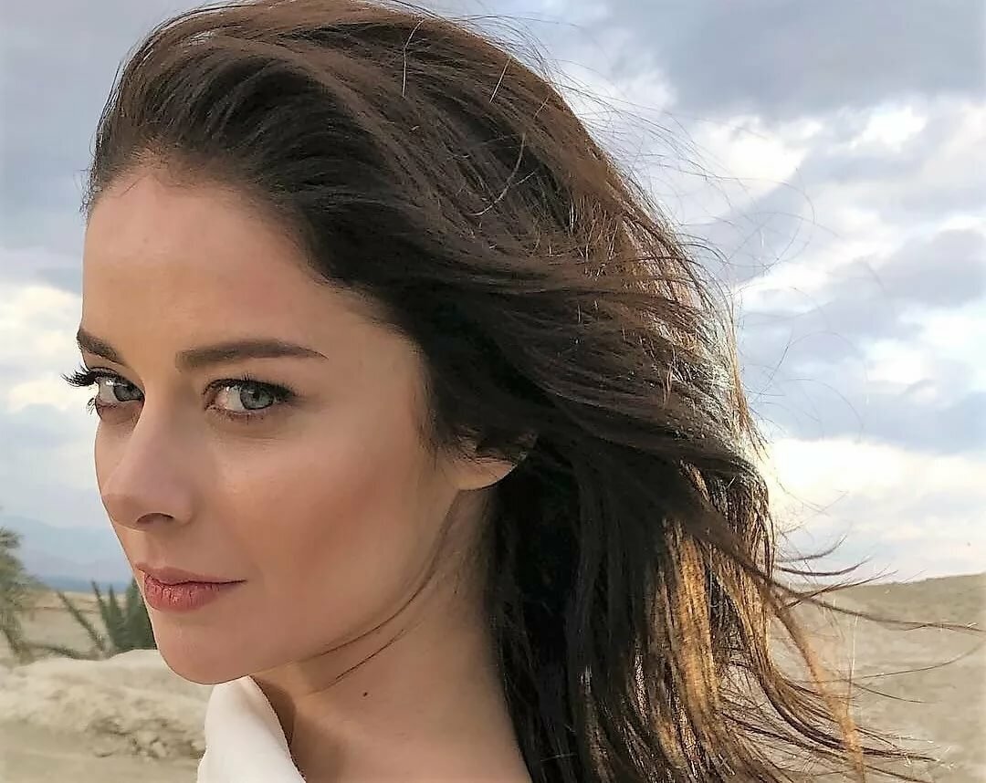 Яндекс.картинки