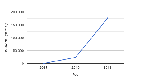 баланс, случайно взятой компании