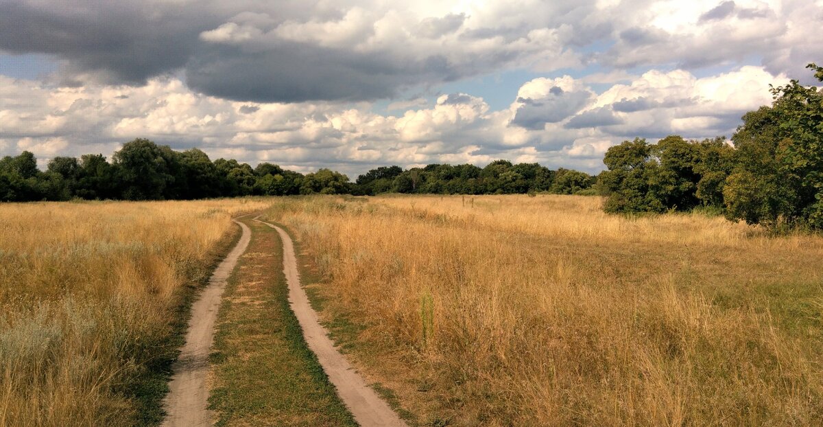 Дураков нет и вообще никого нет (Цна, Тамбовская обл.)