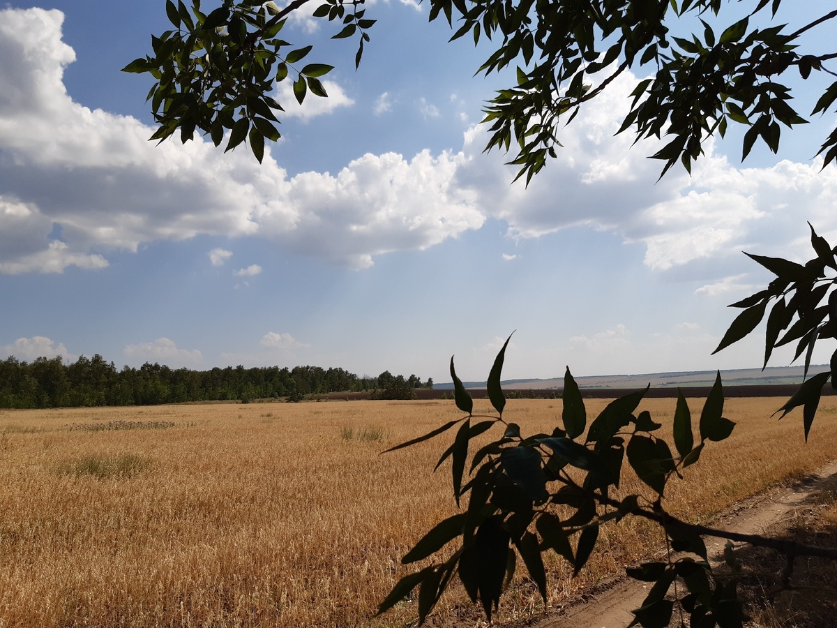 Личное фото: красота природы