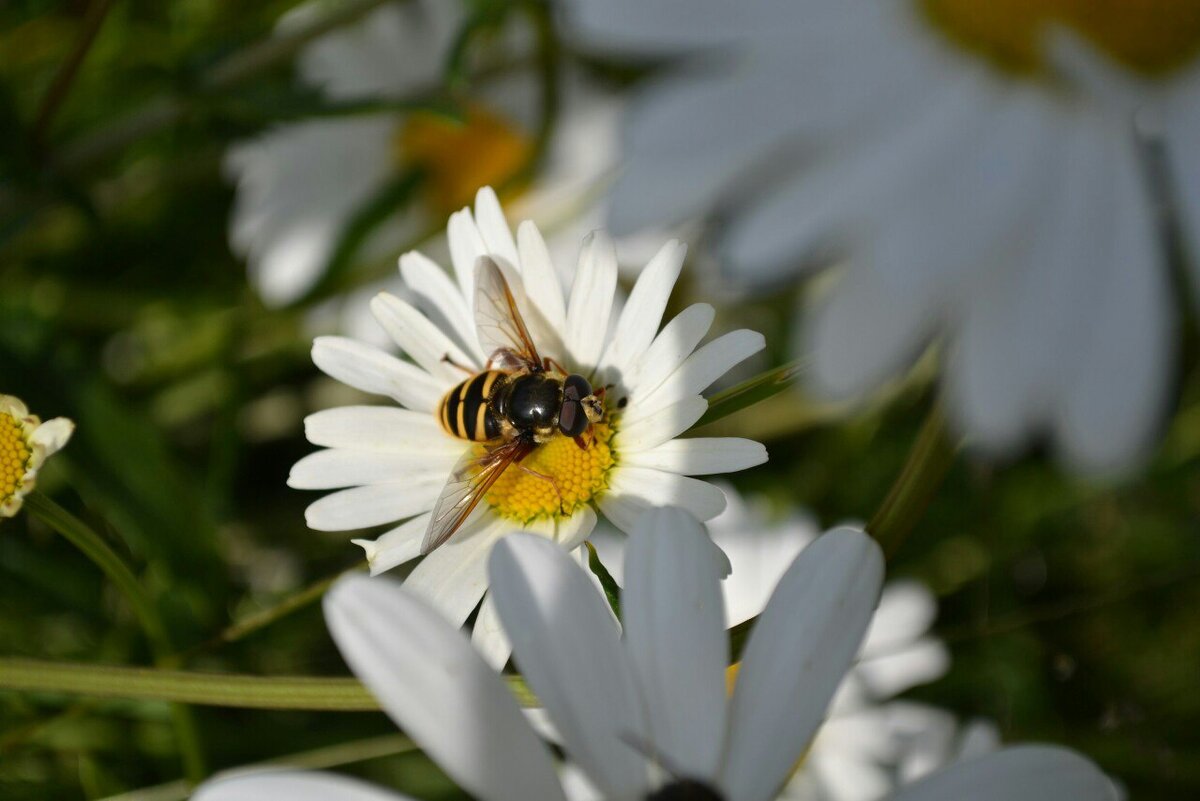 Подписывайтесь на канал "О цифрах с душой"