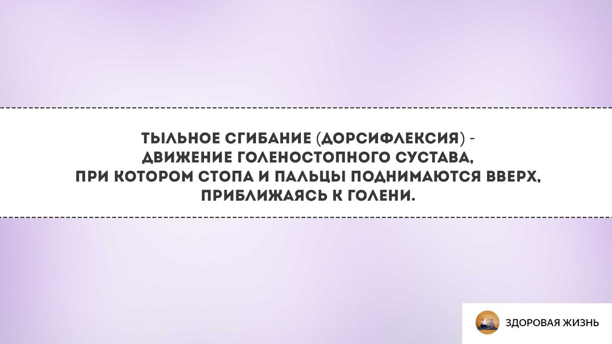 Другими словами, нужно потянуть стопу "на себя", чтобы икроножная мышца натянулась. Это если выражаться простым языком)