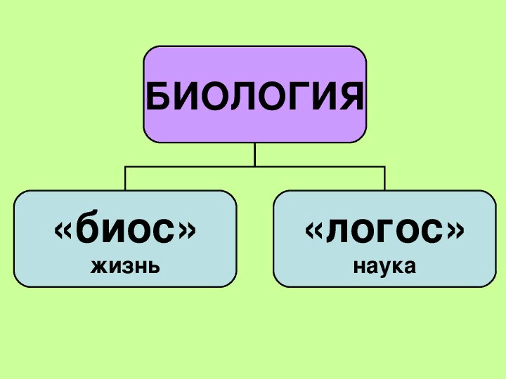 Что означает логос