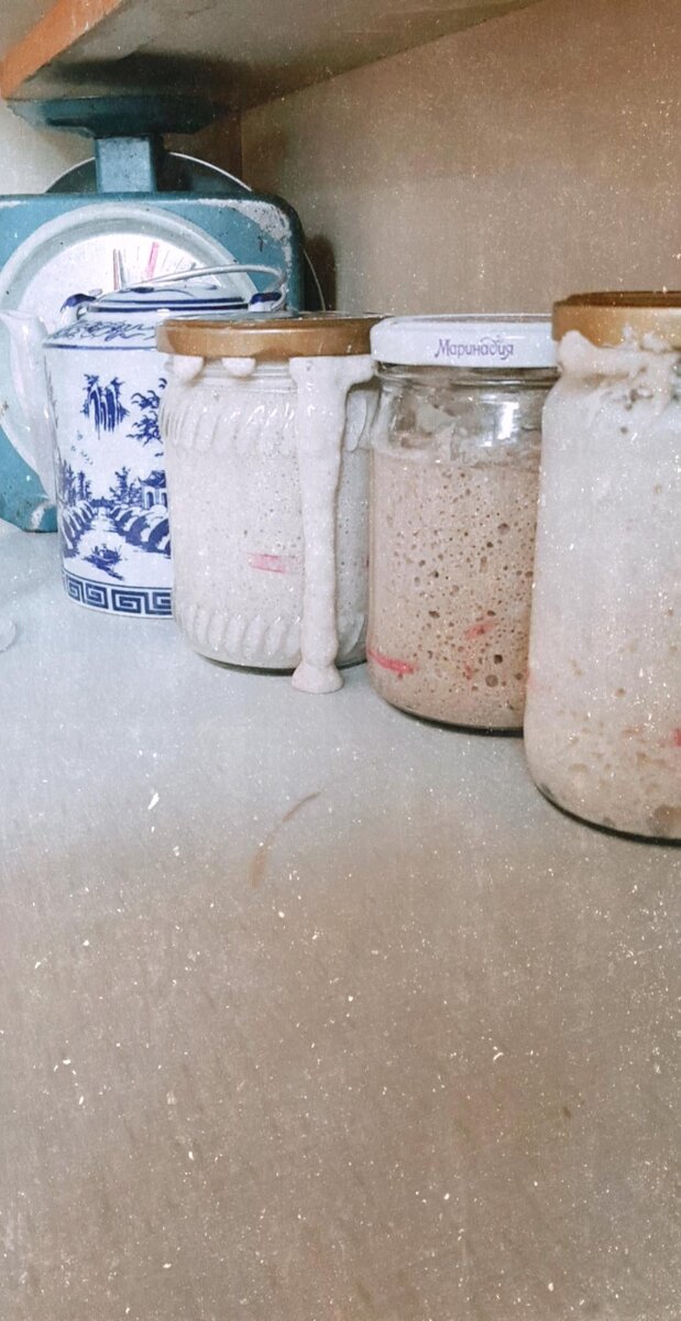 Закваска в процессе брожения.