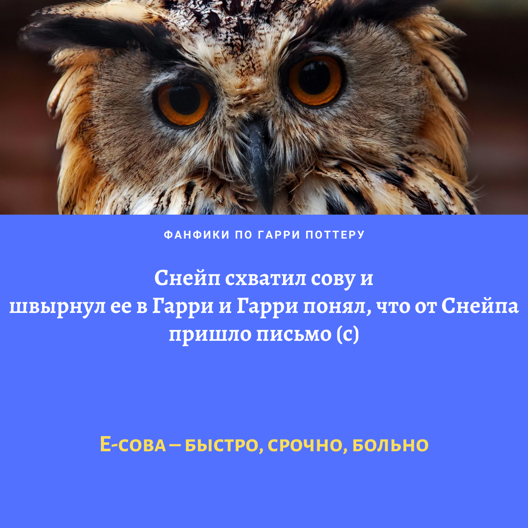 57. Продолжаем хит-парад смешных цитат из фанфикшена по Гарри Поттеру!Ловит...