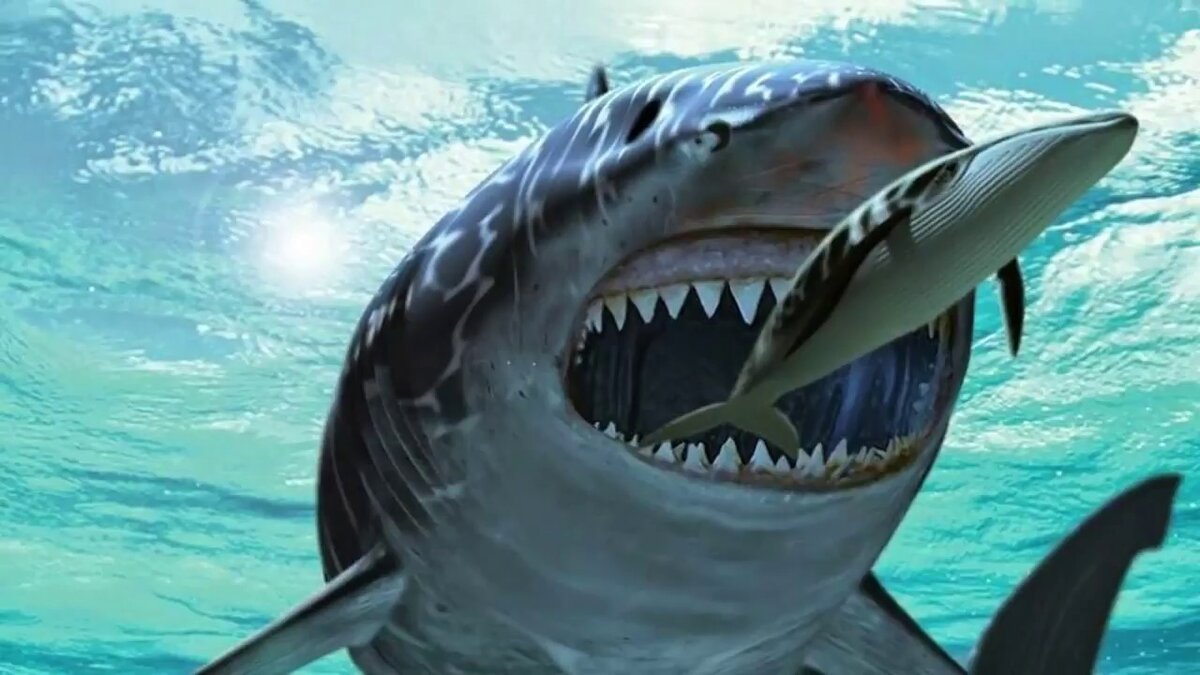 Источник: yandex.ru