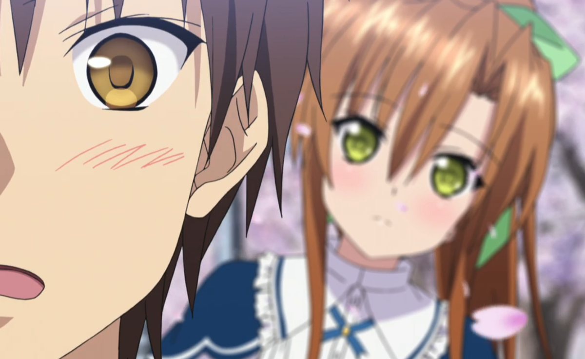 Использованы кадры из аниме "Абсолютный дуэт"