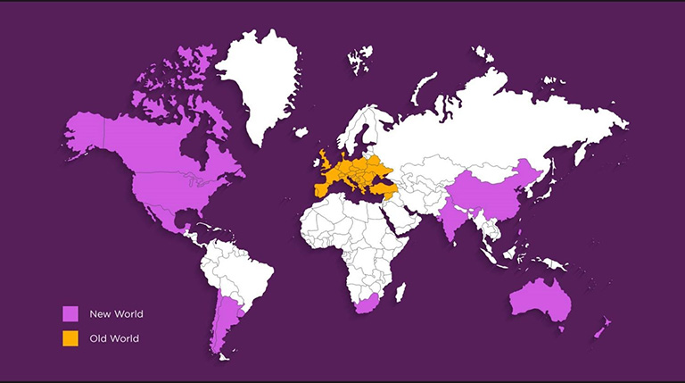 По сути, все что не Европа и не Средиземноморье, можно называть странами Нового света