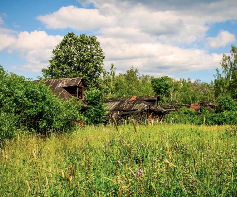 Фото с ресурса Яндекс Картинки