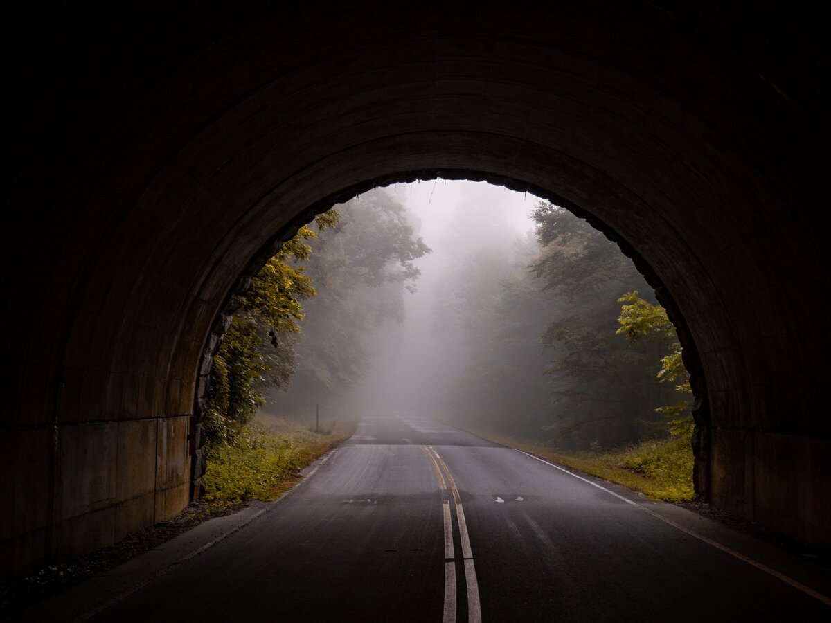 фото: unplash.com, фотограф Aaron Burden