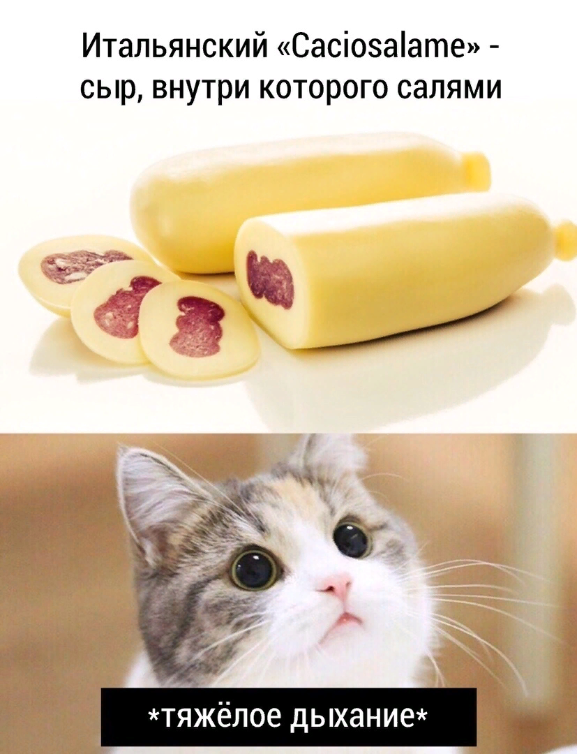 мем для поднятия боевого духа !)