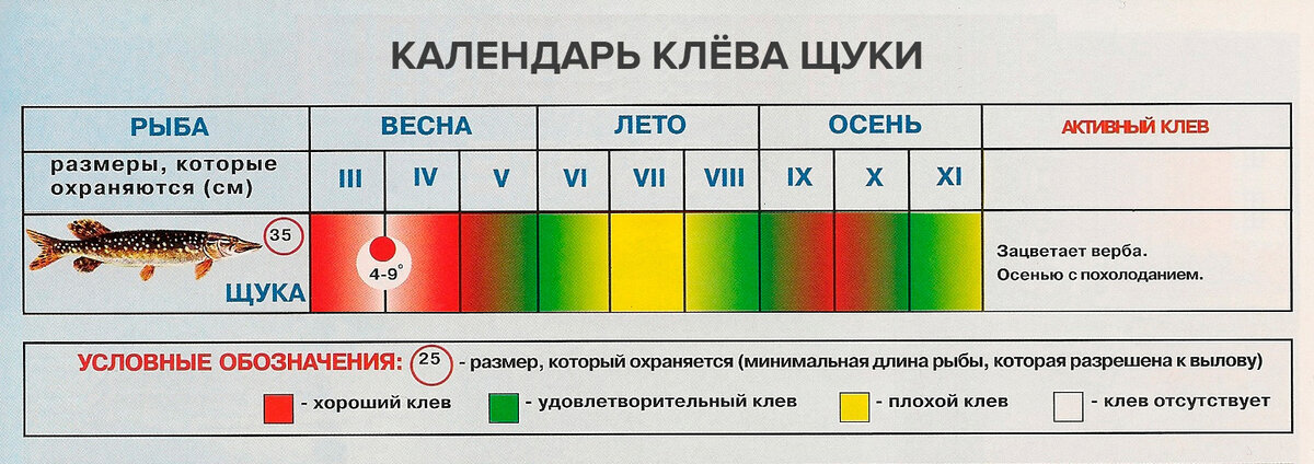 Особенности рыбалки на щуку в осенний период