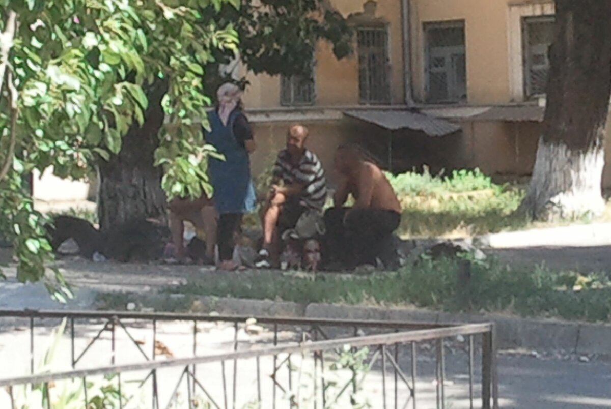 Ростов-на-Дону, личное фото с моего канала.