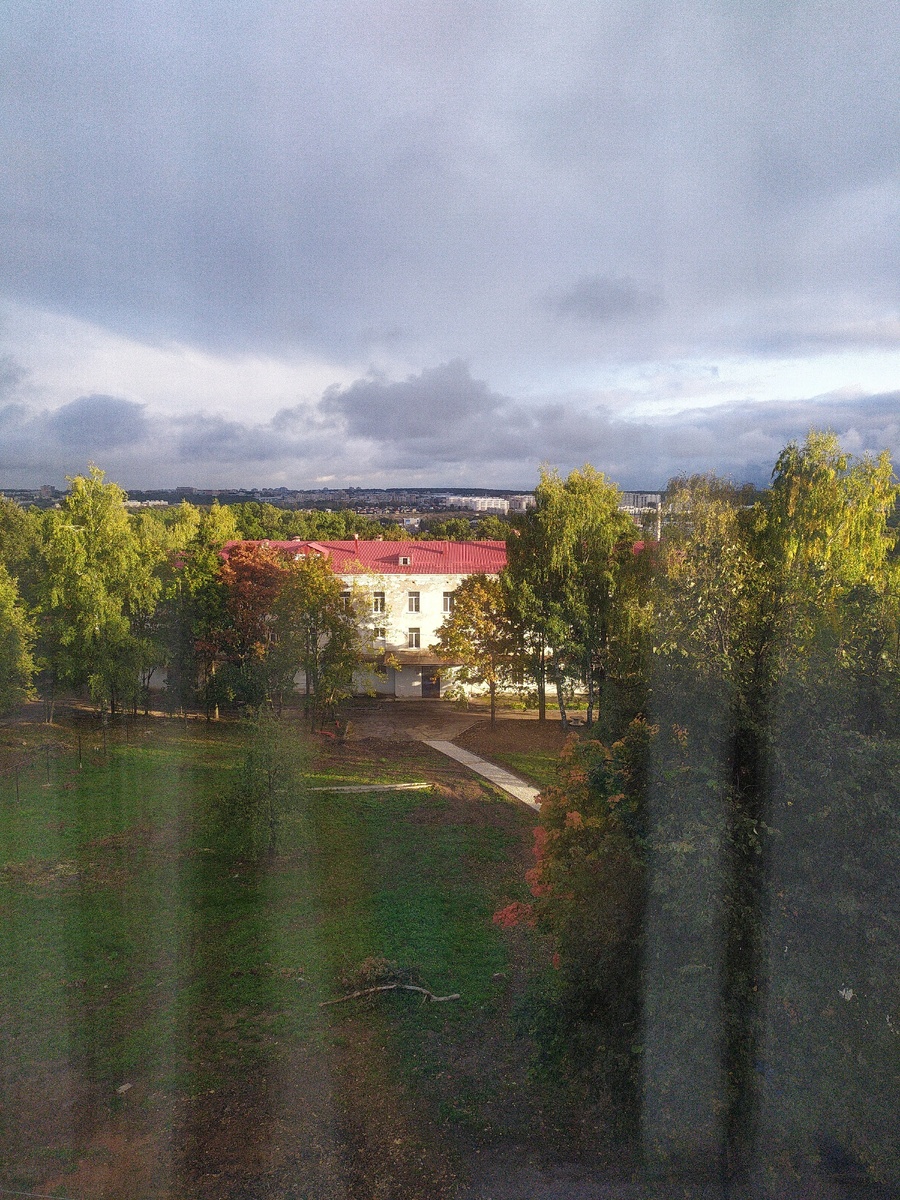 Вид из окна палаты