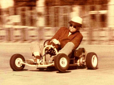 Картинг стриж