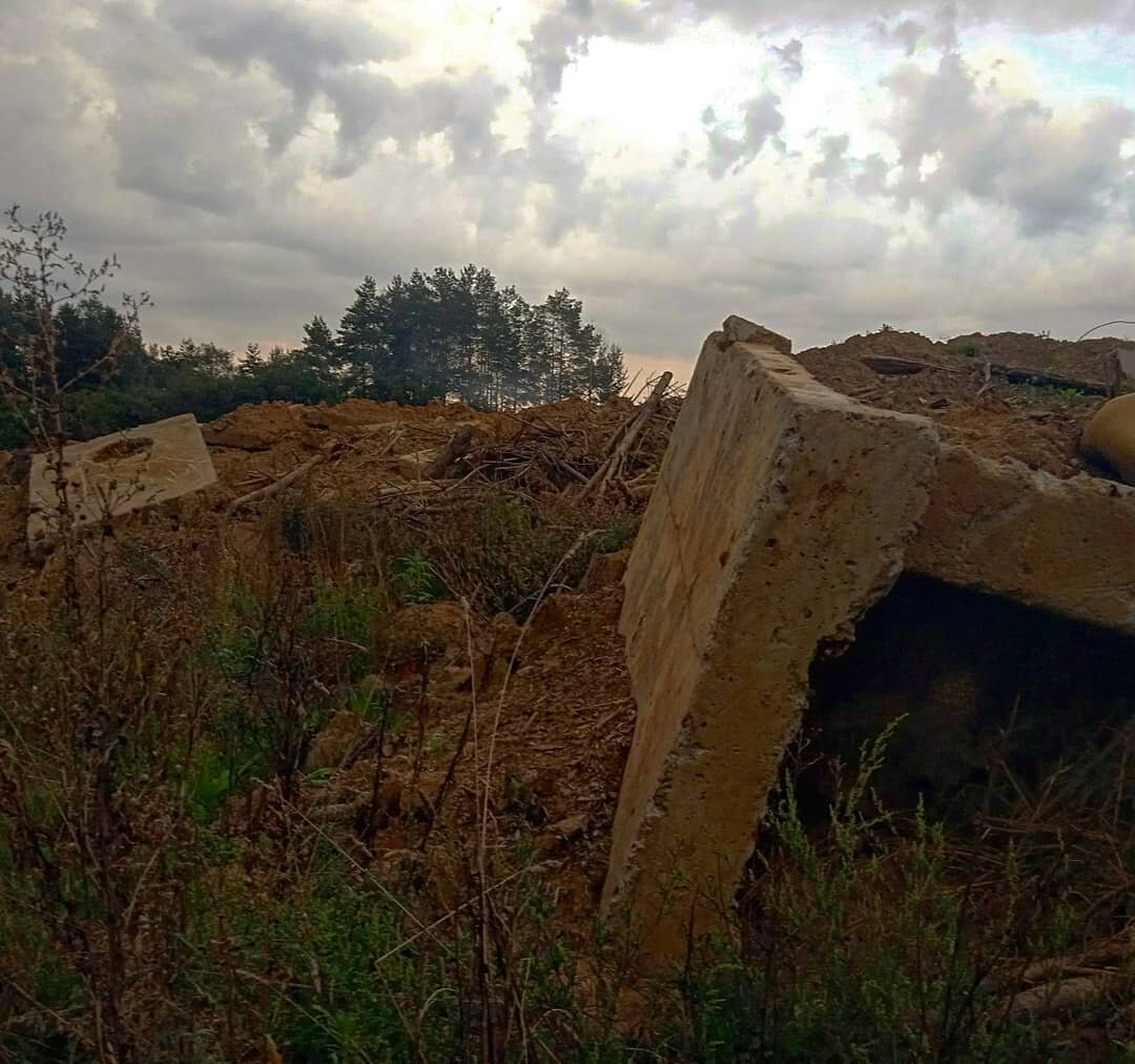 Муниципальное предприятие МБУ "Зеленстрой" устроило свалку промотходов на территории лесополосы.