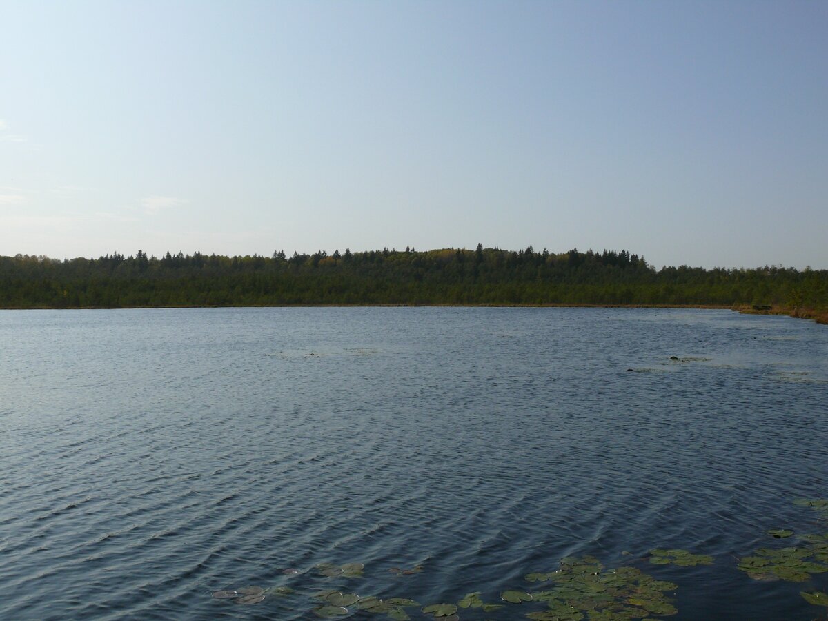 Озеро в Лавшино Жуковский район