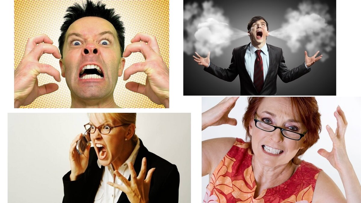 Из открытого доступа в сети Интернет.