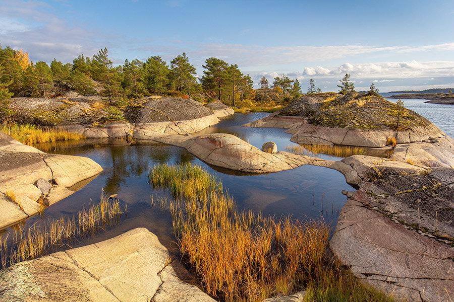 Фото: Shutterstock