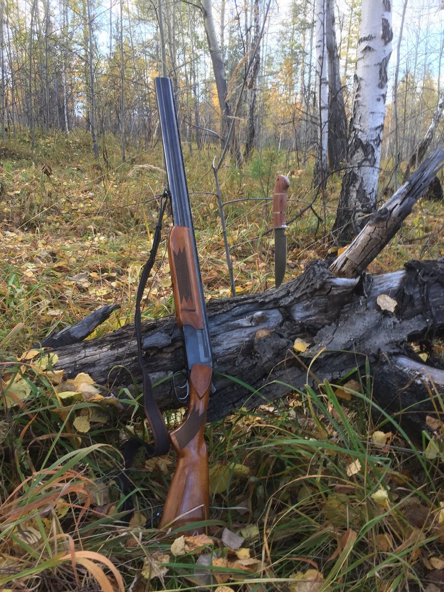 Просто для иллюстрации