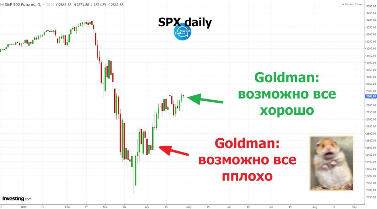 Какую биржу выбрать в хамстер боте. Хомяк на бирже. Хомяки в трейдинге. Хомячки на бирже.