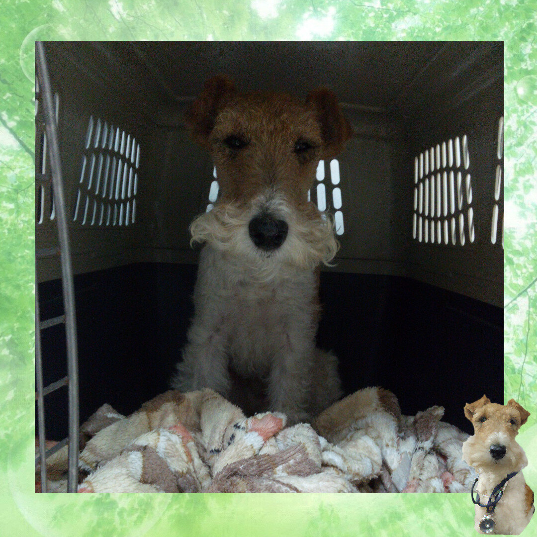 Если понравилась статья подписывайтесь на канал, пишите комментарии, ставьте лайк