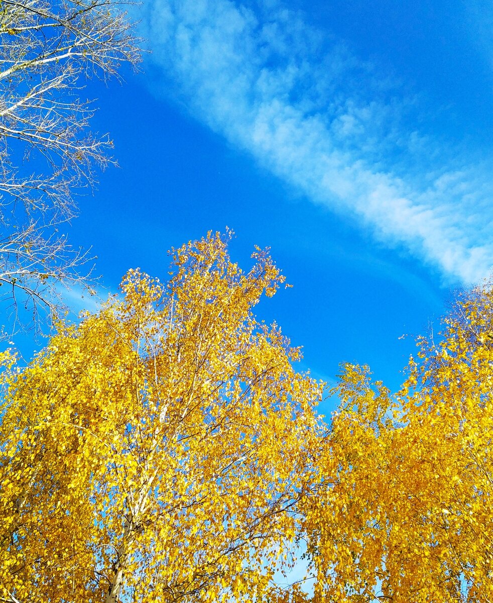 Сегодня стояла просто отличная осенняя погода ☀️ 