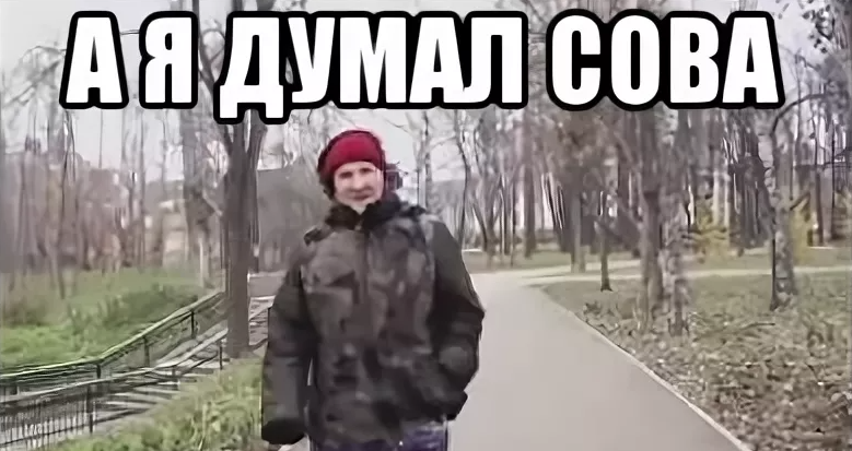 Я думала это общее достояние 50. А Я думала Сова. ААА А Я думала Сова Мем. Сова думает. Камера а я думала Сова.