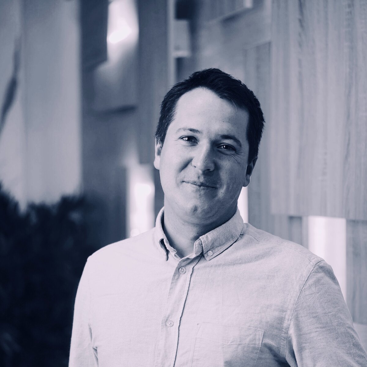 Федор Антонов, Anisoprint.