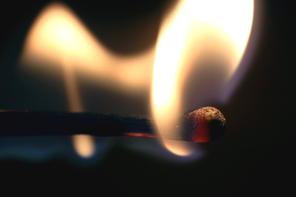 Изображение взято с pixabay.com 