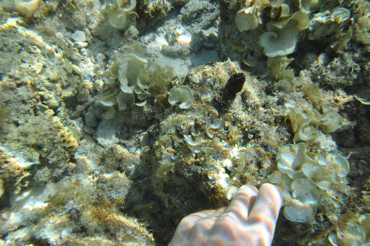 наше фото с архива