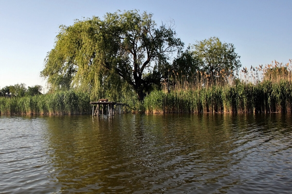 Вода тимашевск. Река Кирпили Краснодарского. Речка Кирпили Краснодарский край. Река Кирпили Тимашевск. Тимашевск Кирпили.