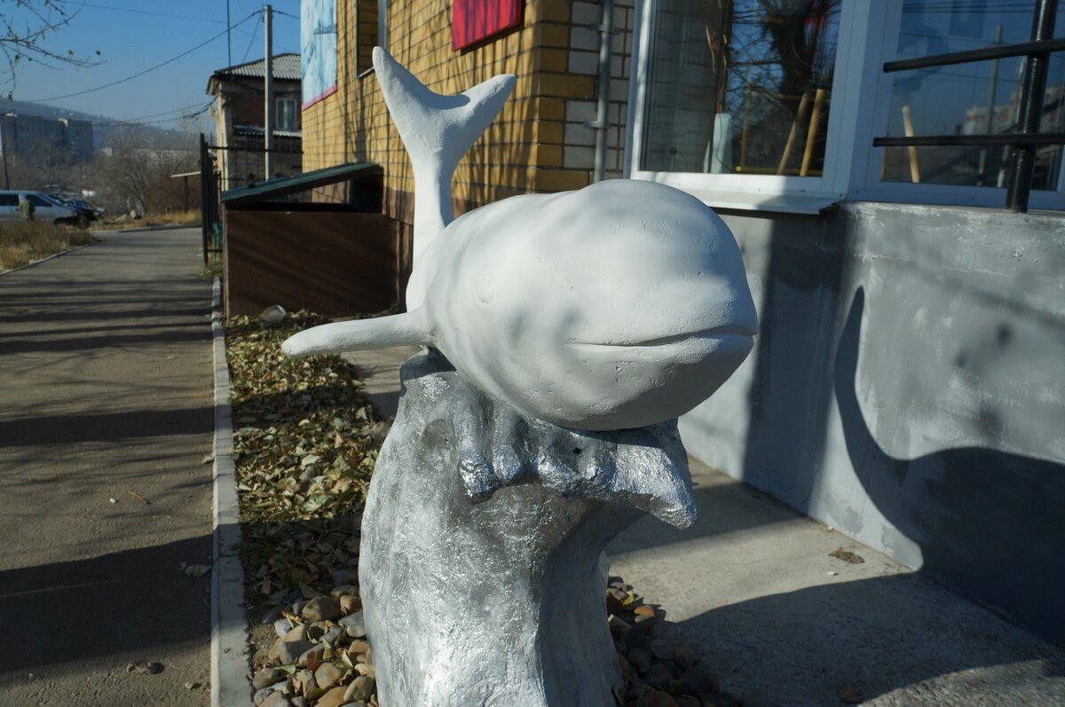 Фото автора