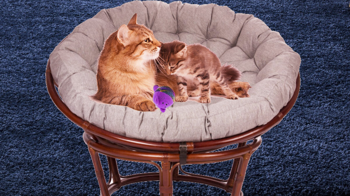 Если понравилась статья, подписывайтесь на канал, пишите комментарии, ставьте лайк