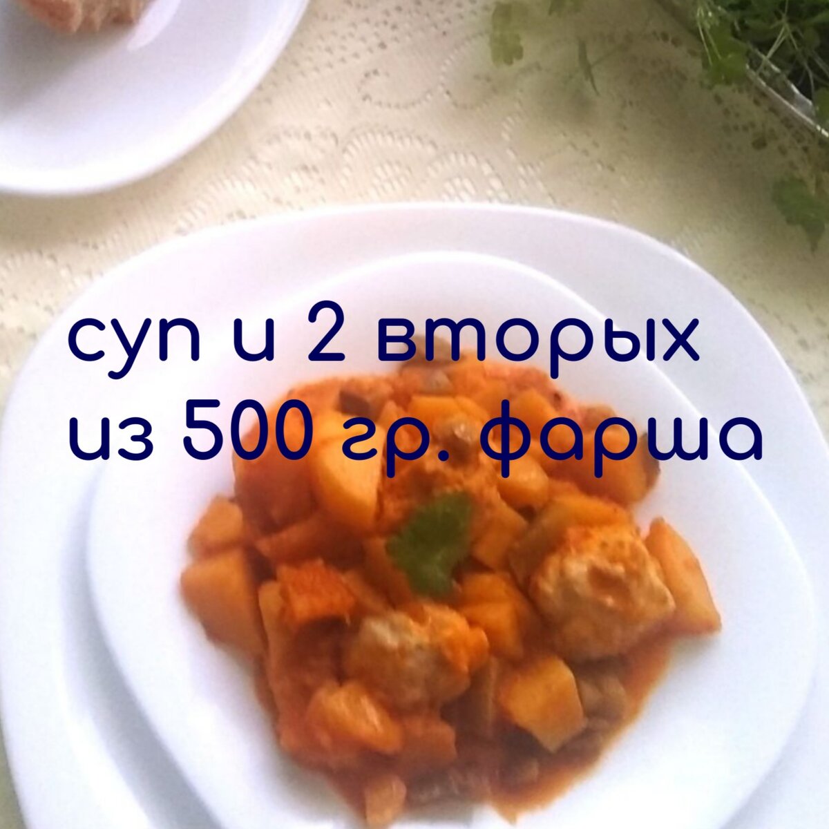  рагу с фрикадельками - парит:) фотографировала моя дочь:)