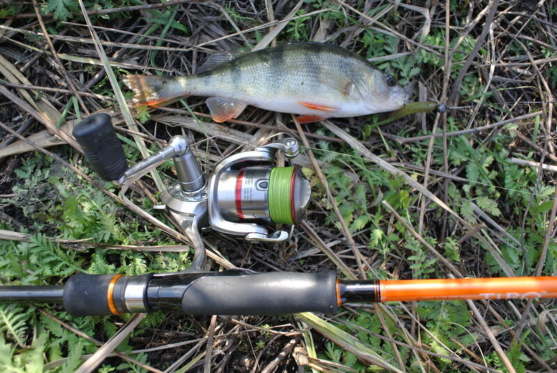 Источник: http://barsch.ru/community/threads/rybalka-na-reke-tuzlov.52/